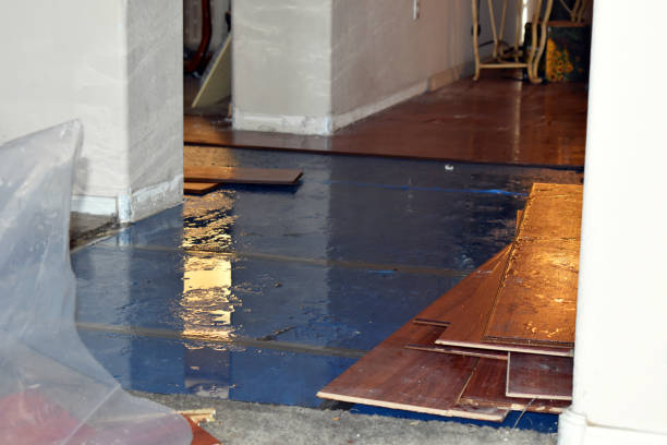 Professional Basement Flood Cleanup technician working in Earlton, NY